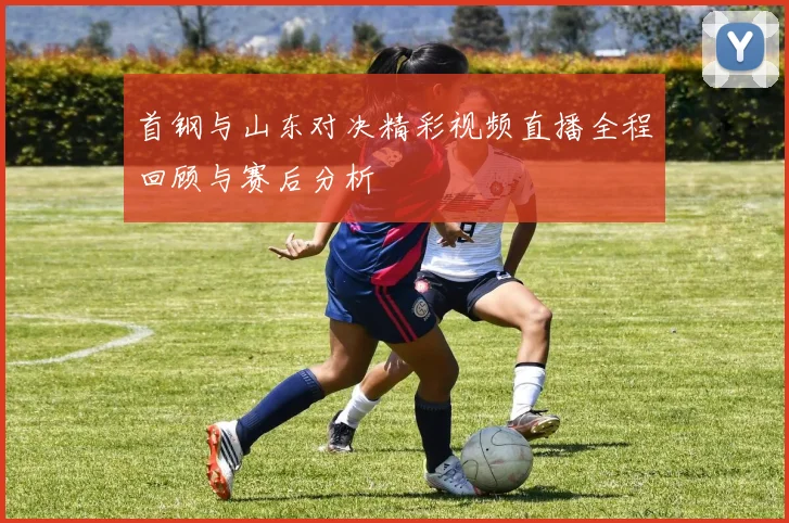 首钢与山东对决精彩视频直播全程回顾与赛后分析